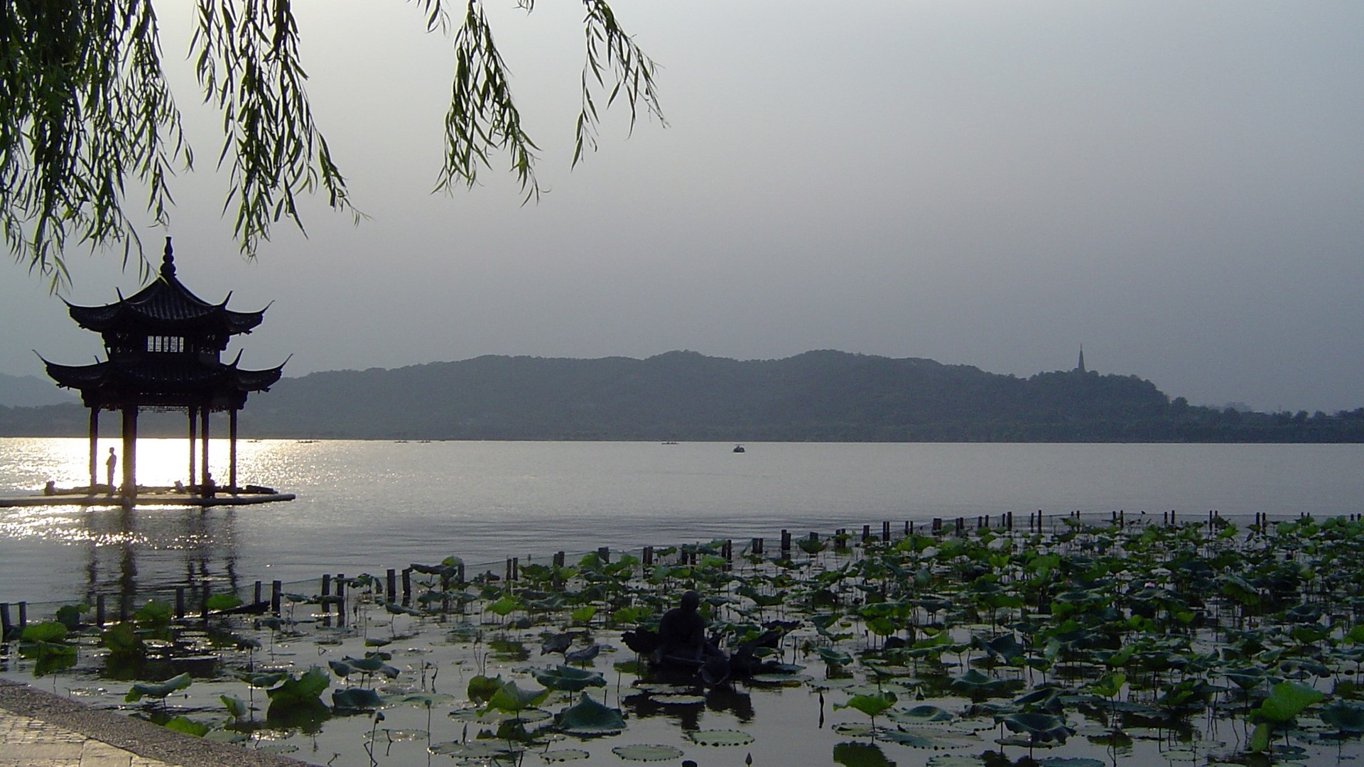 West Lake Pagoda and Lotus Pond HD Wallpaper