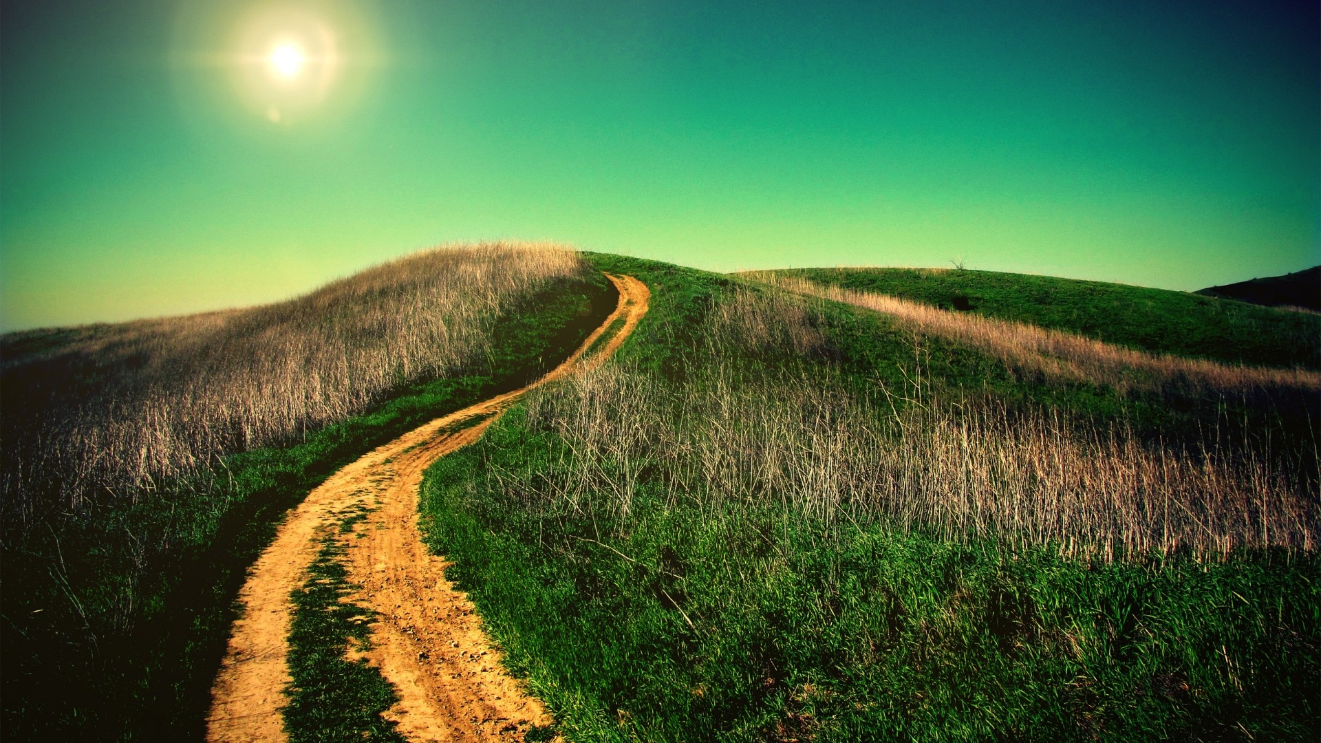 Uphill dirt road through grassy hills HD Wallpaper