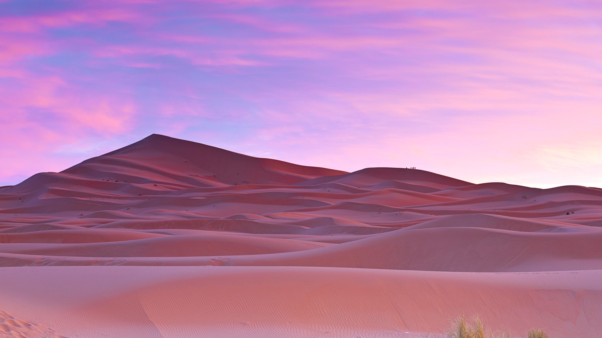 Sahara Desert dunes at sunset with purple sky HD Wallpaper