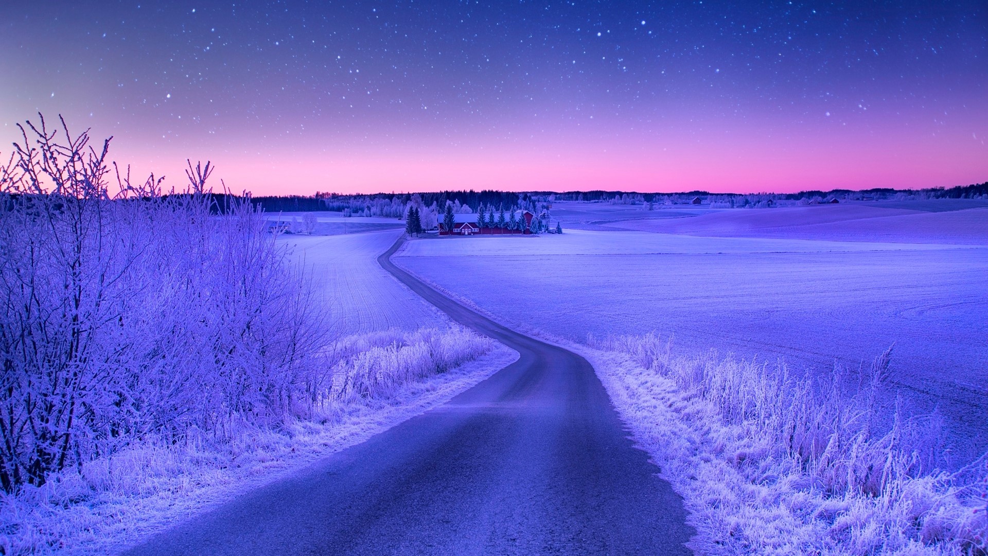 Winter road through snowy fields under starry sky HD Wallpaper