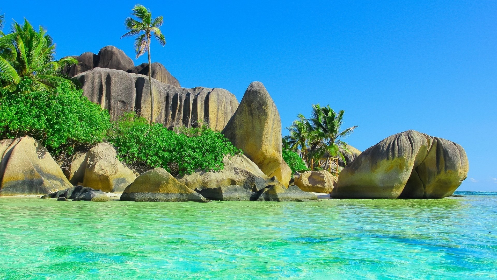 Tropical beach with granite boulders and palm trees HD Wallpaper
