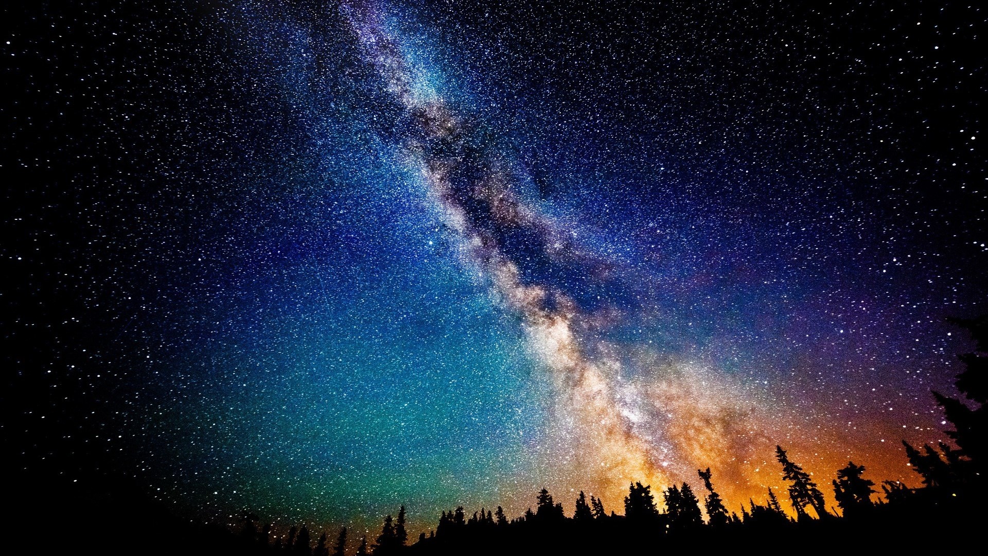 Milky Way Galaxy Over Forest Silhouette HD Wallpaper