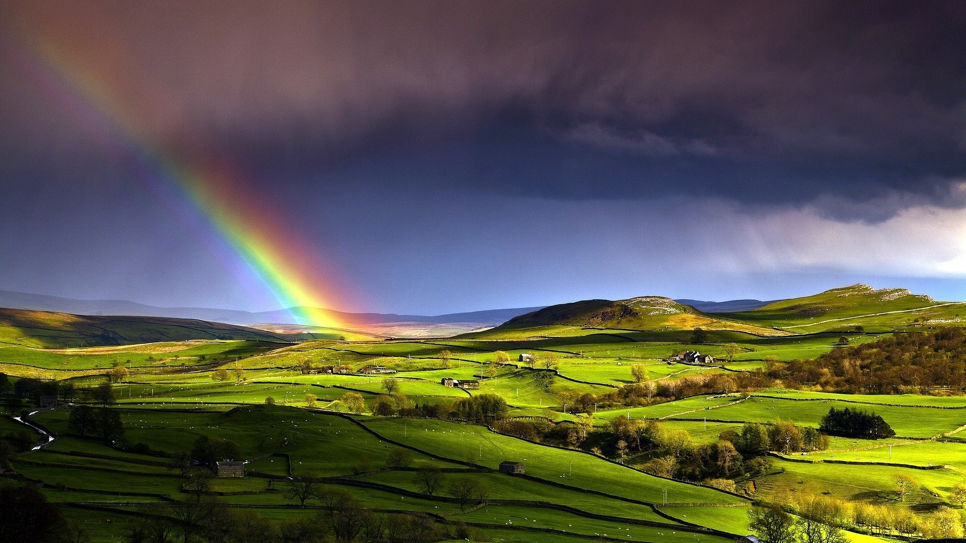 Rainbow over green rolling hills landscape HD Wallpaper