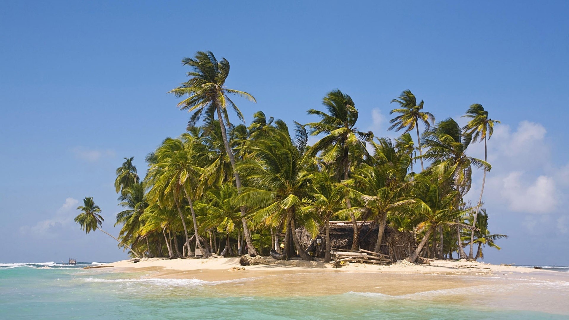 Tiny tropical island with palm trees and a hut HD Wallpaper