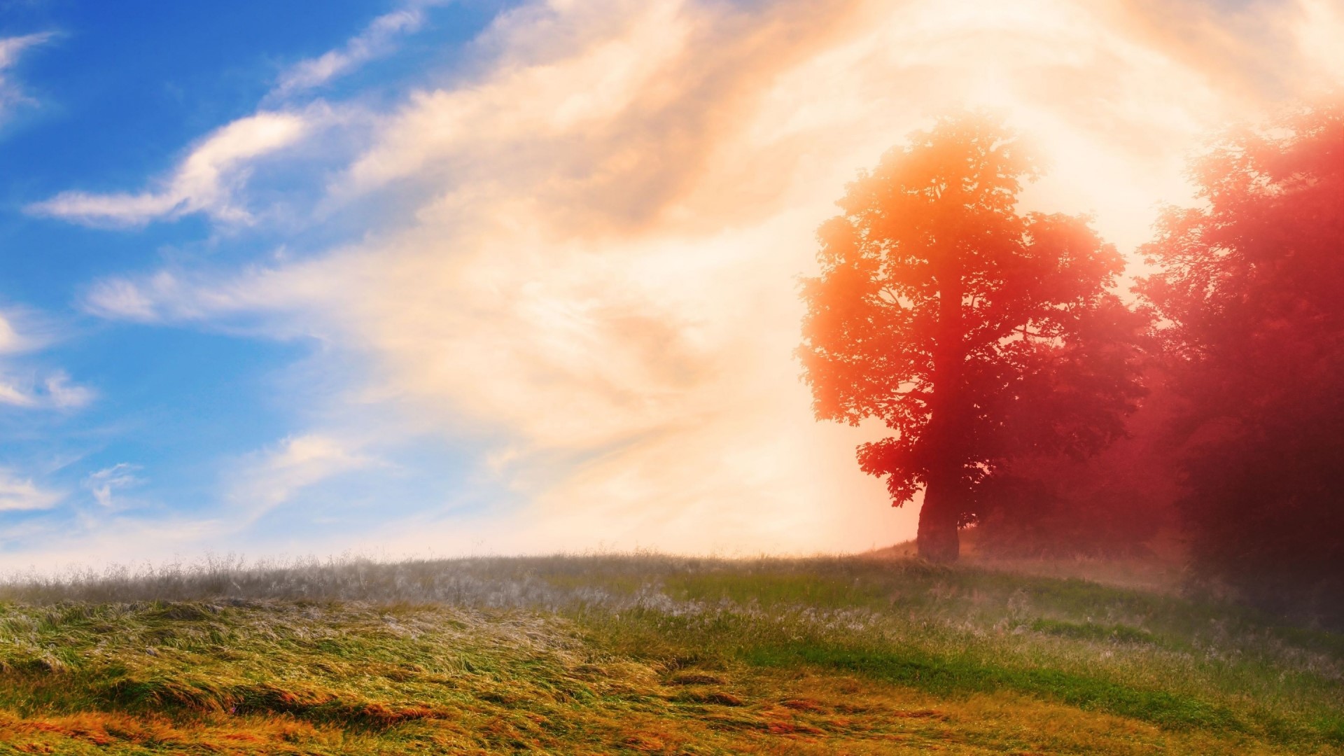 Red leaves on trees against a blue and orange sky HD Wallpaper