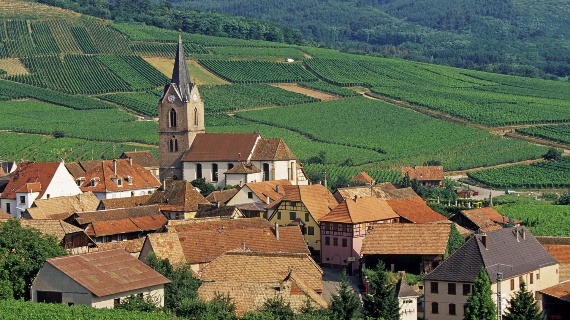 French Village with Vineyards and Church HD Wallpaper