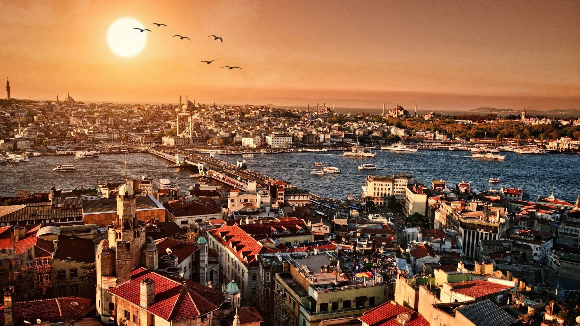 Istanbul cityscape at sunset with birds flying HD Wallpaper