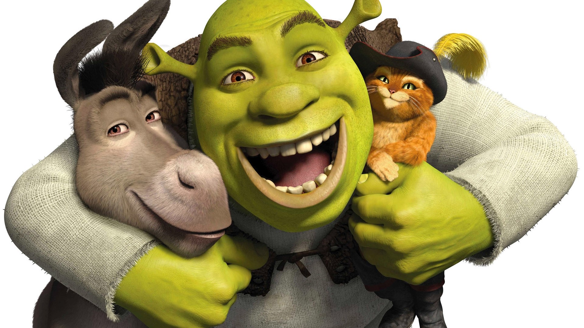 Shrek, Donkey, and Puss in Boots from Shrek HD Wallpaper