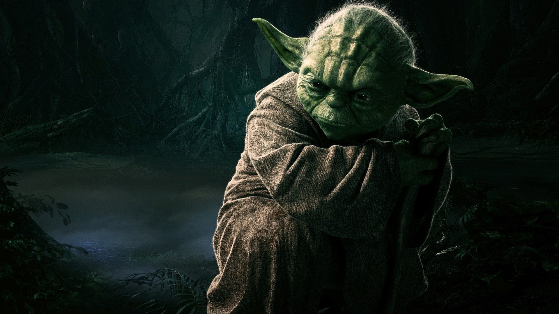 Yoda from Star Wars on Dagobah HD Wallpaper