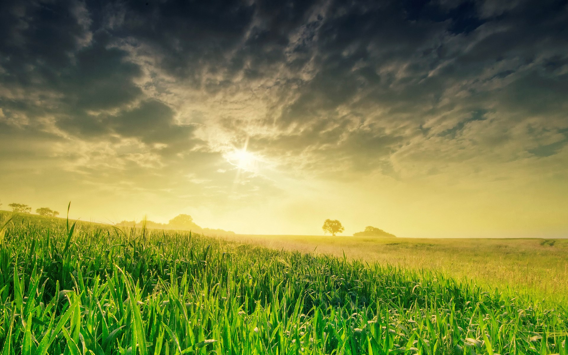 Sunlight breaking through dark clouds over a grassy field HD Wallpaper