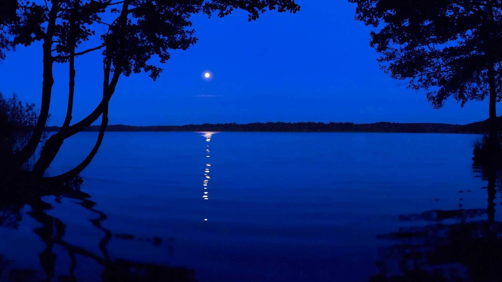 Moonlit lake with trees at night HD Wallpaper
