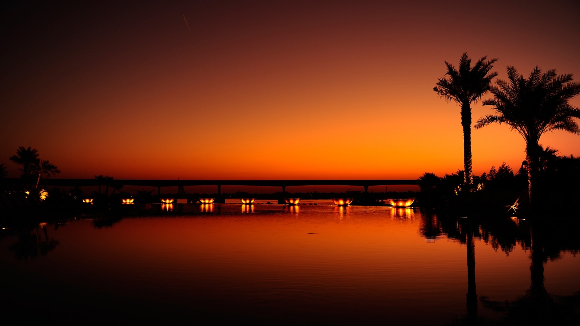 Palm trees by a lake at sunset HD Wallpaper