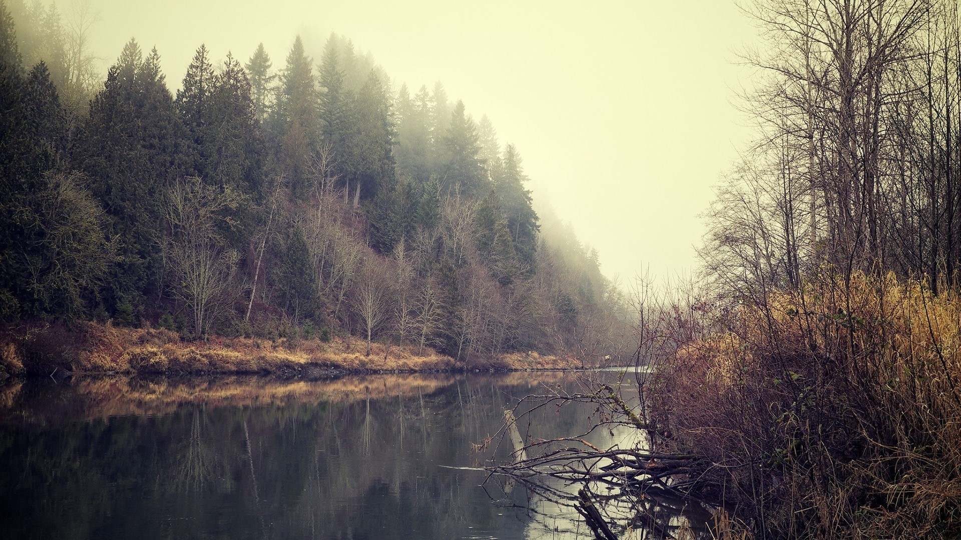 Misty Forest and River Landscape HD Wallpaper