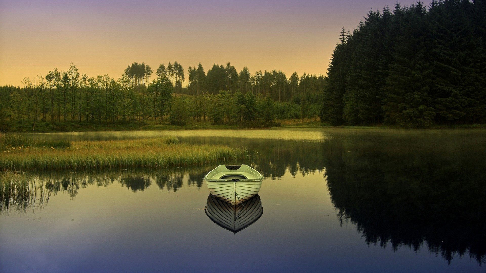 Boat on a calm lake with forest reflection HD Wallpaper