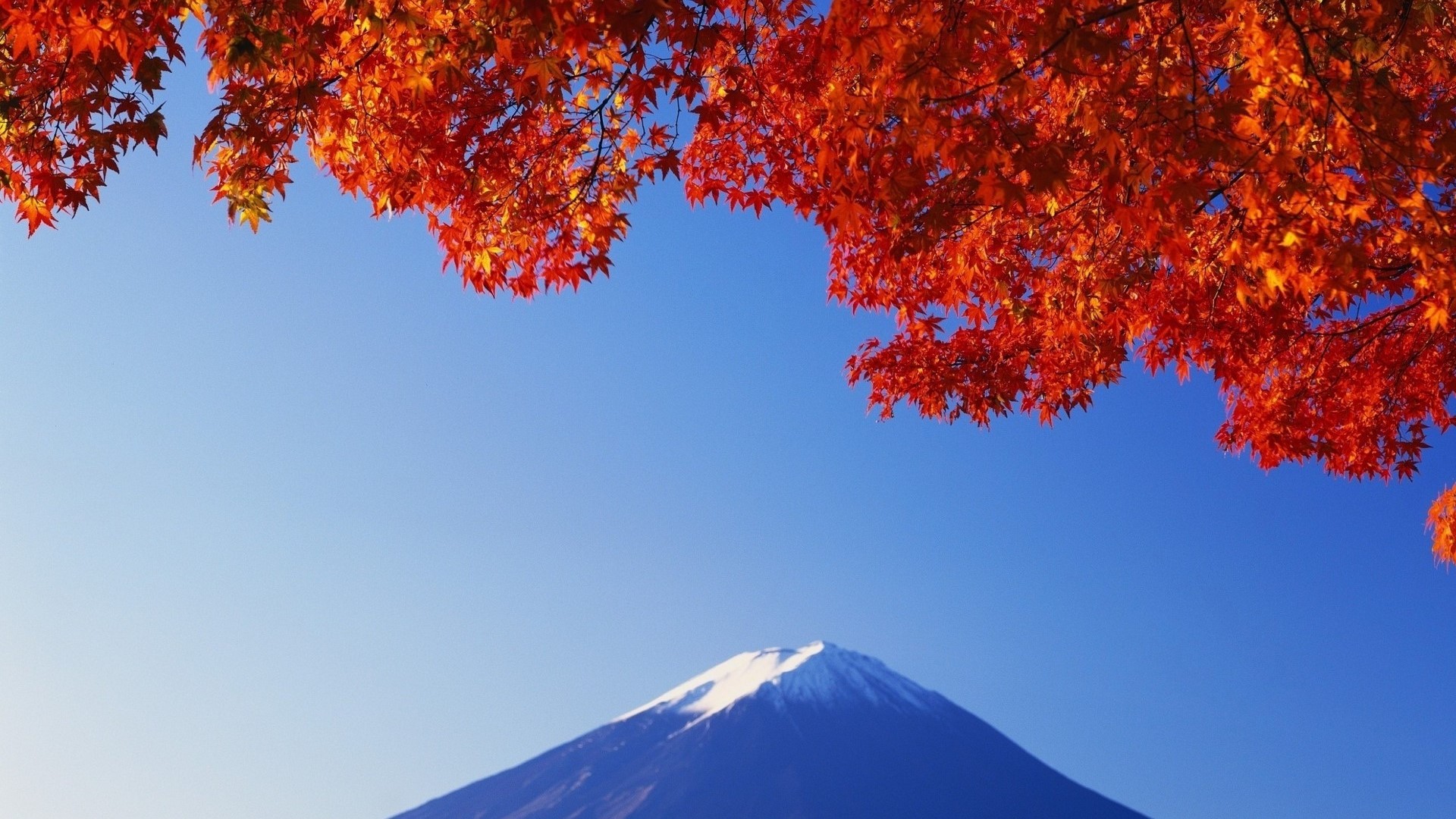 Mount Fuji with Autumn Maple Leaves HD Wallpaper