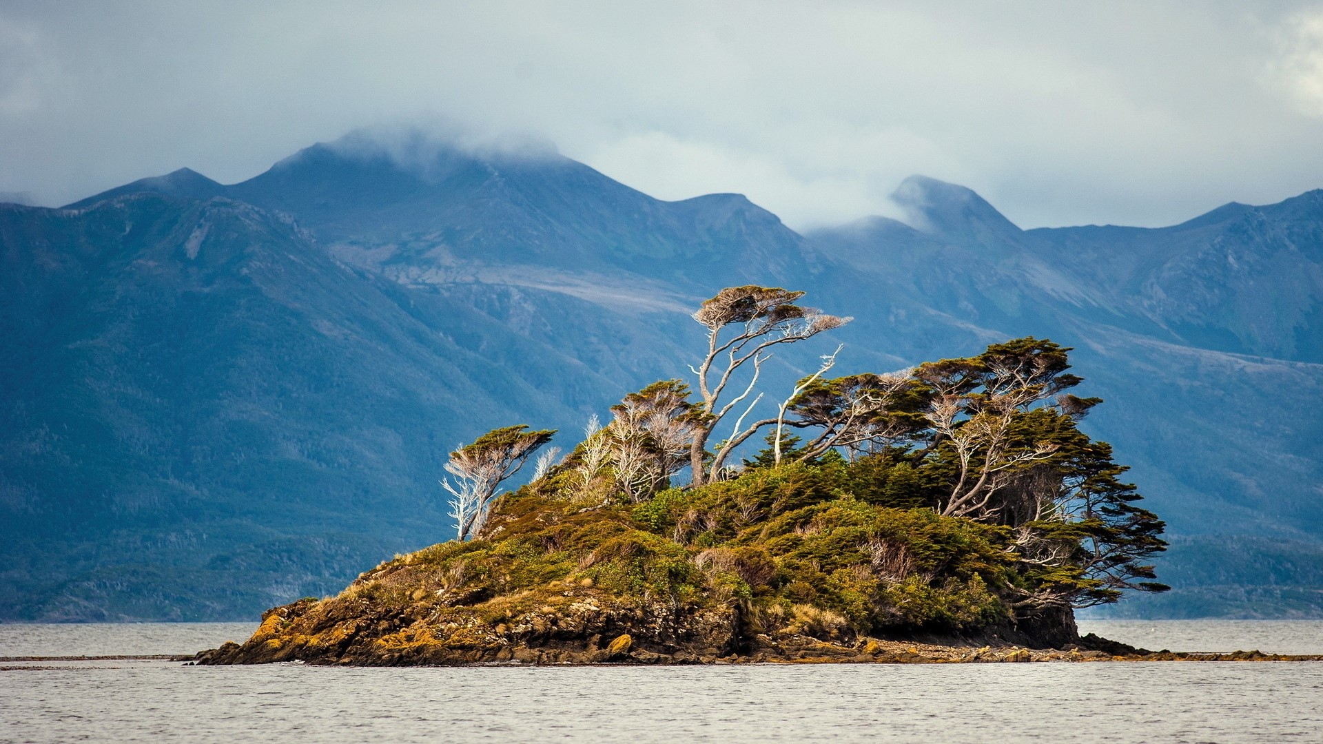 Small island with trees and mountains HD Wallpaper