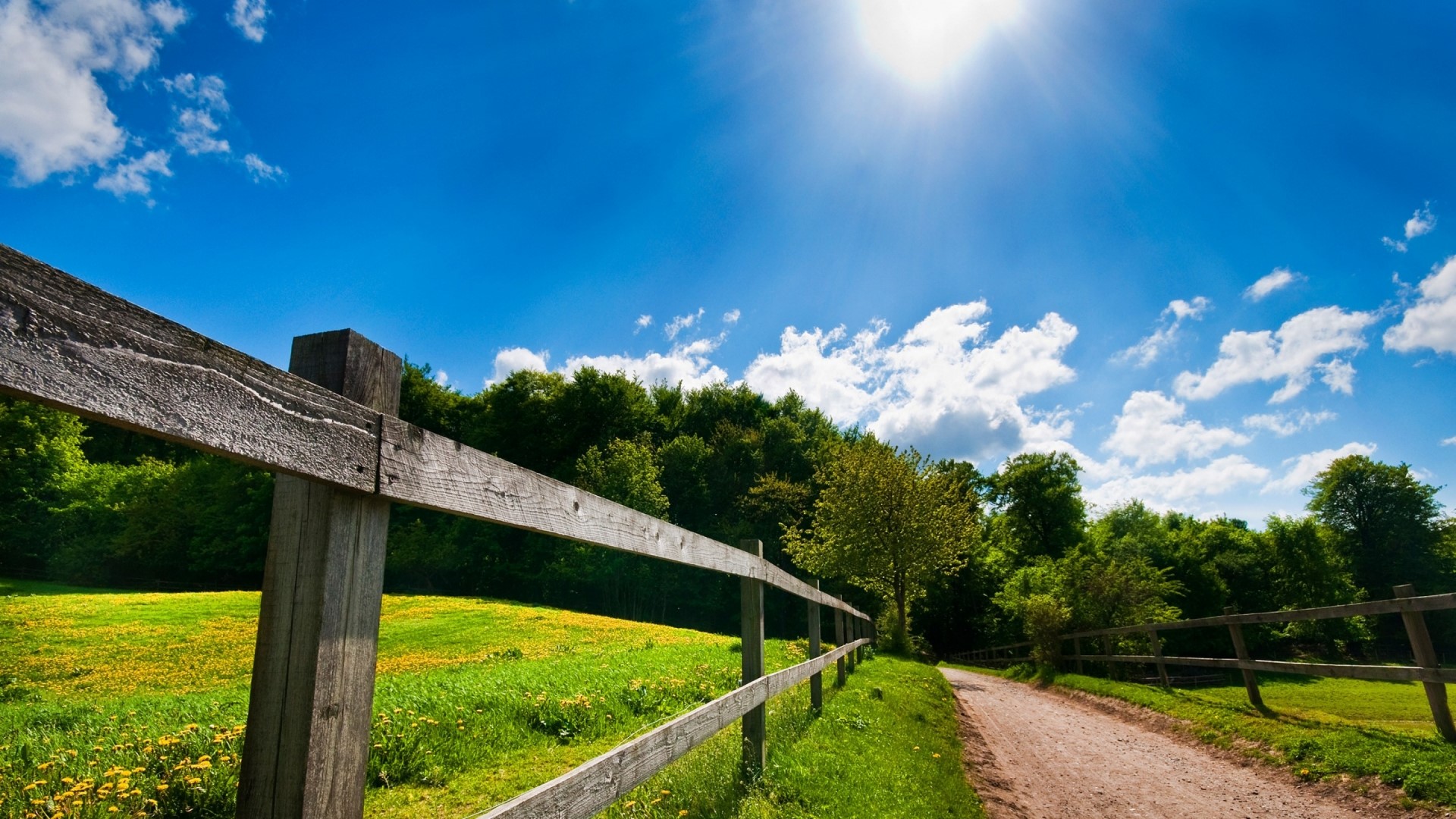 Wooden fence along a dirt path in a sunny meadow HD Wallpaper