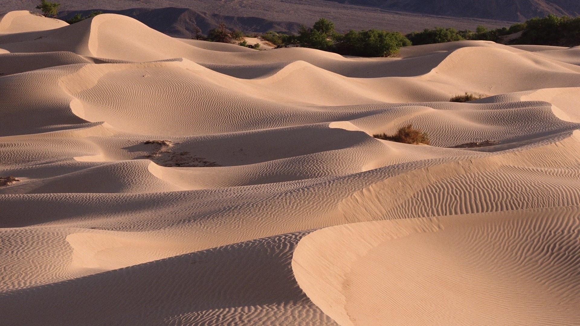Sand dunes in a desert landscape HD Wallpaper