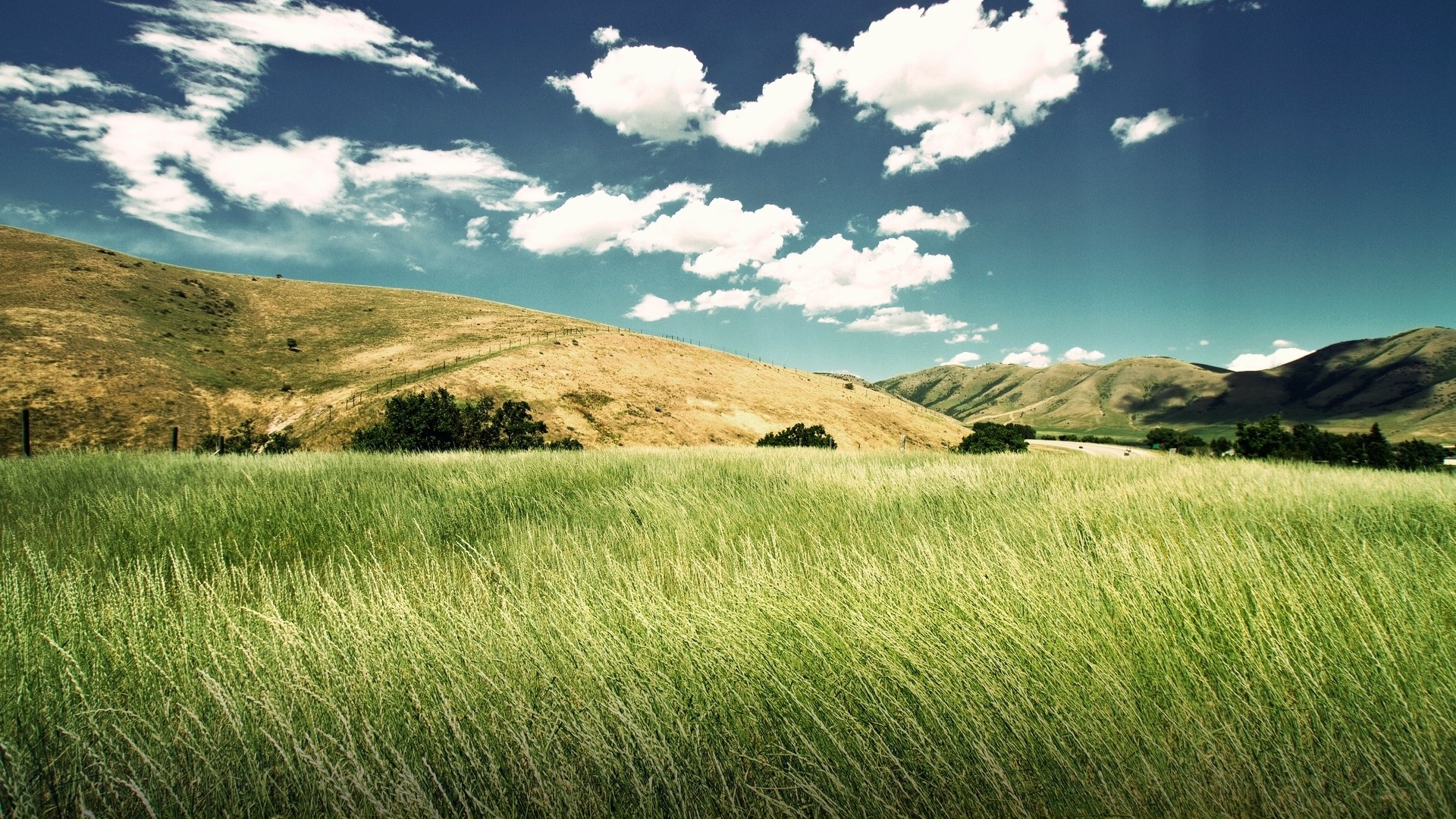 Green grass field with rolling hills and clouds HD Wallpaper