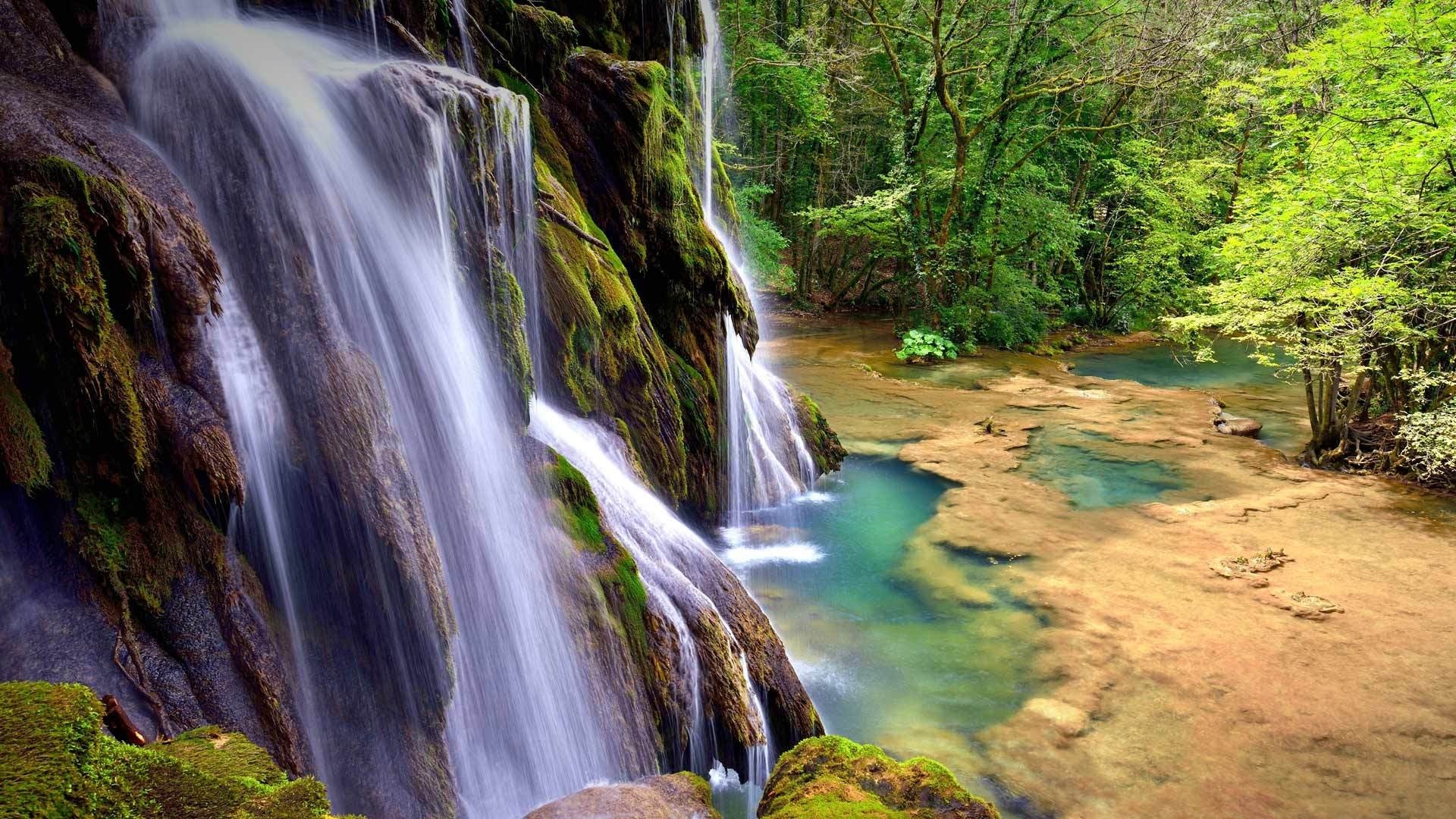 Waterfall in a lush green forest HD Wallpaper
