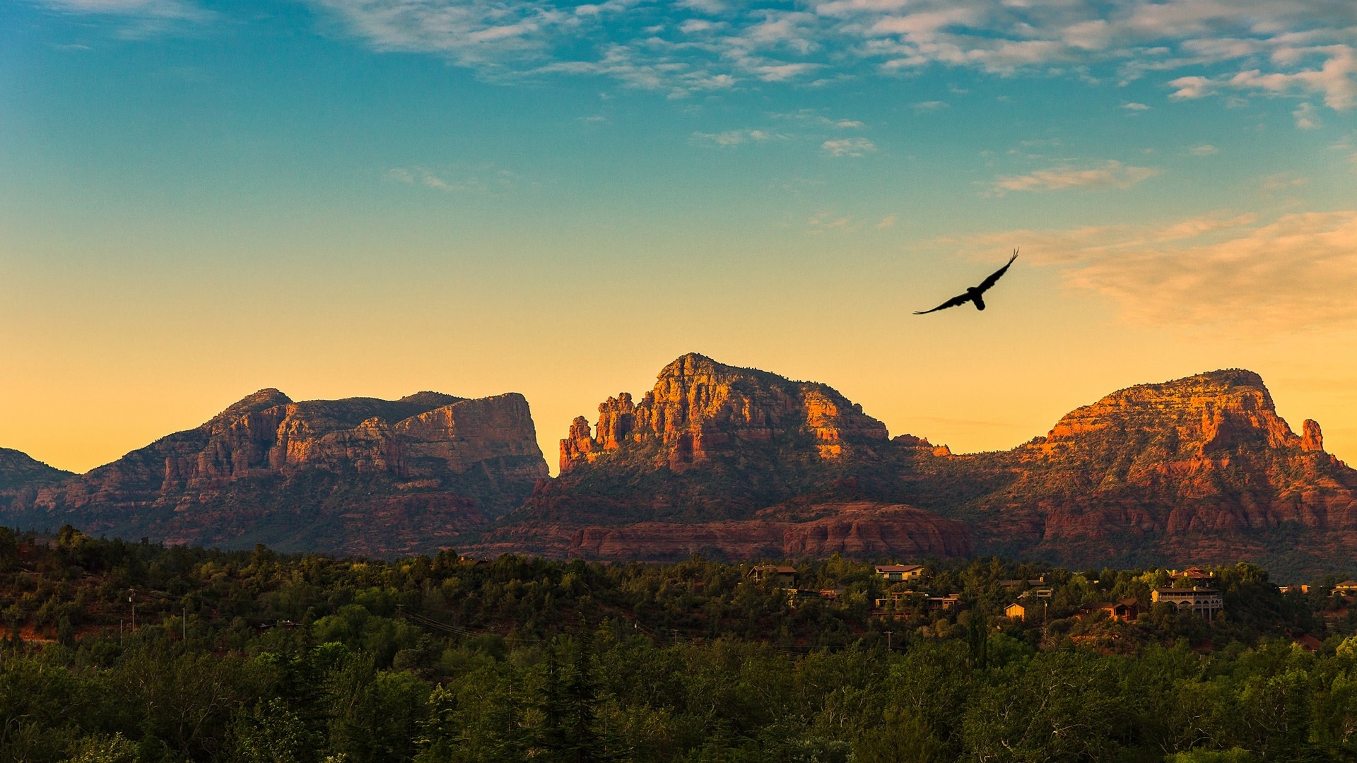 Red Rock Mountains Arizona Sunset Bird HD Wallpaper