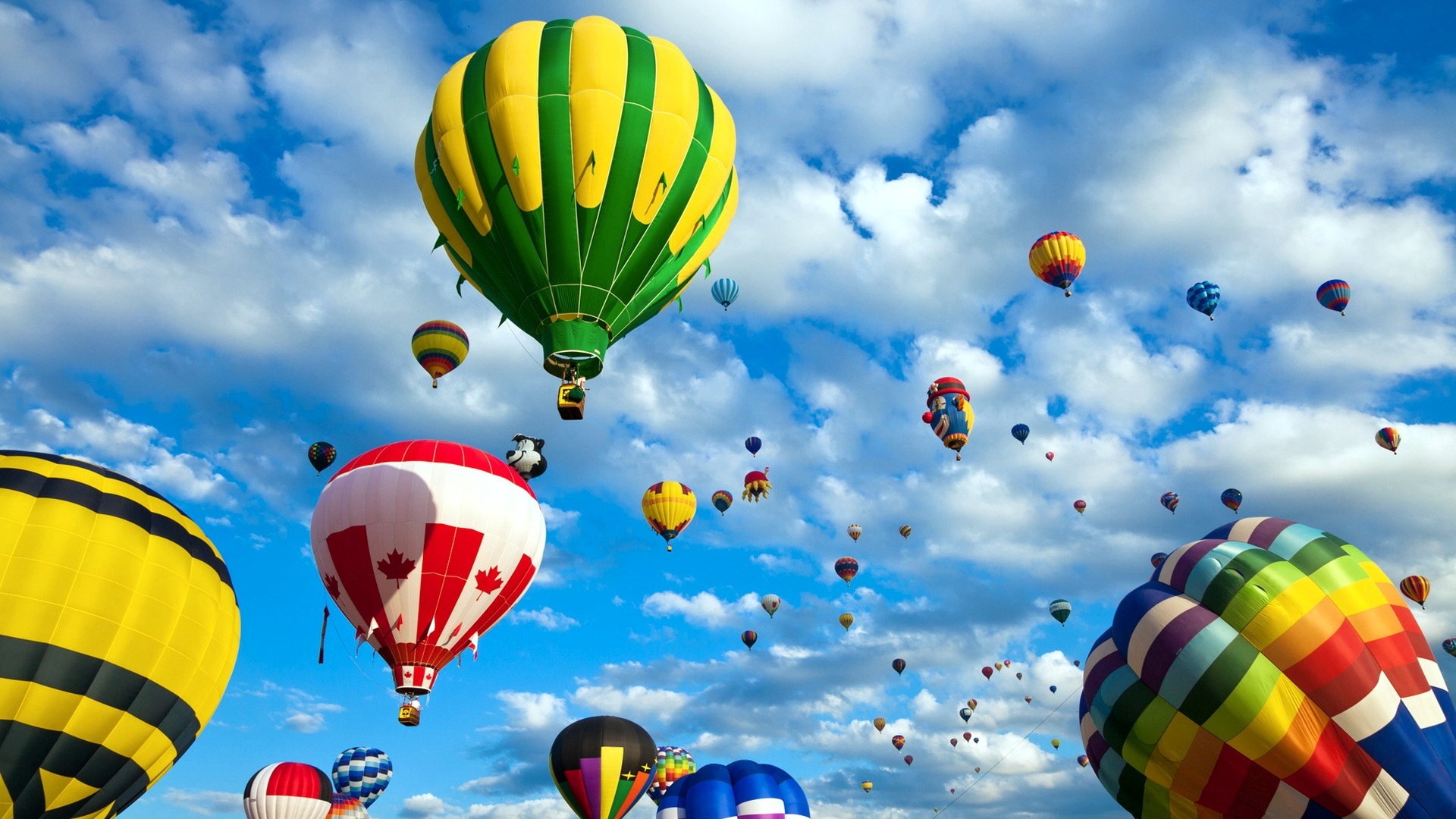 Hot Air Balloon Fiesta HD Wallpaper
