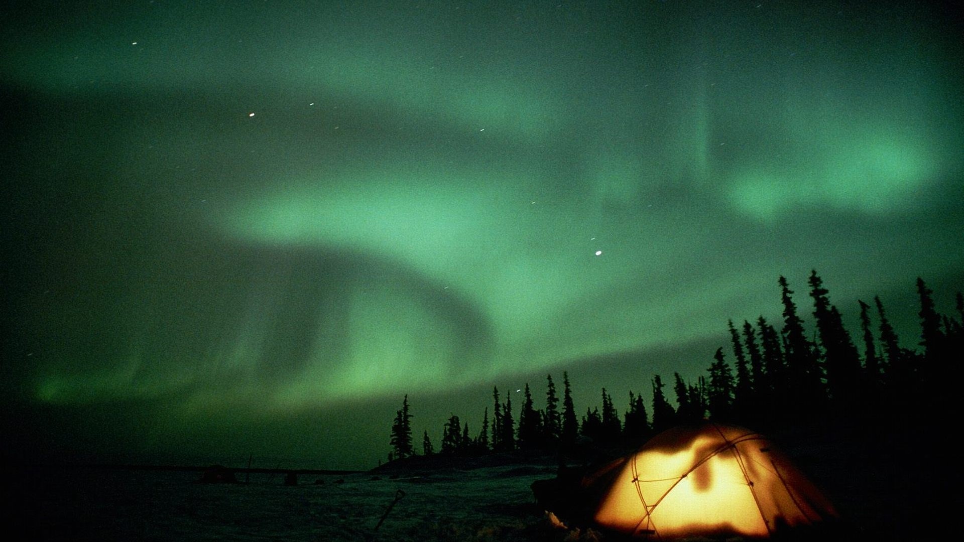 Tent under Aurora Borealis with pine trees HD Wallpaper