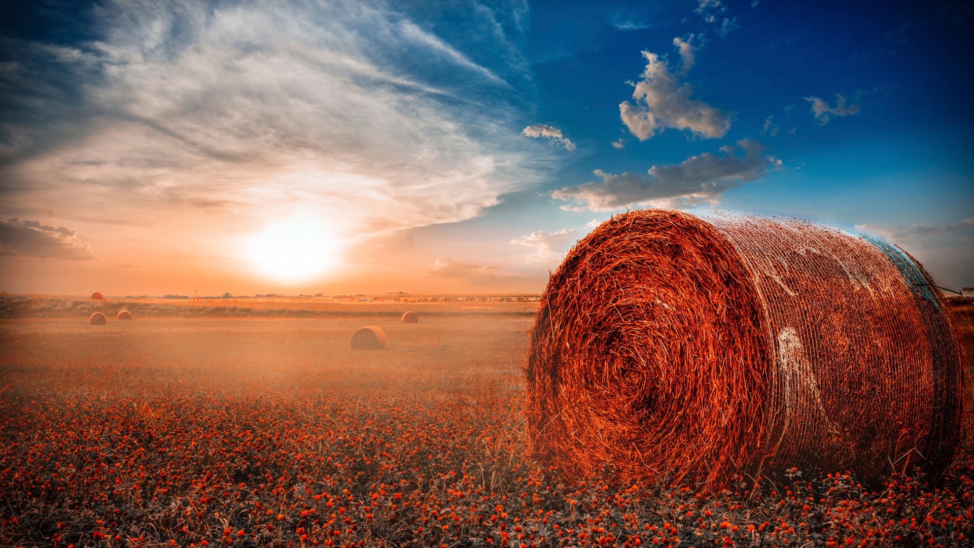 Hay Rolls in a Field at Sunset HD Wallpaper