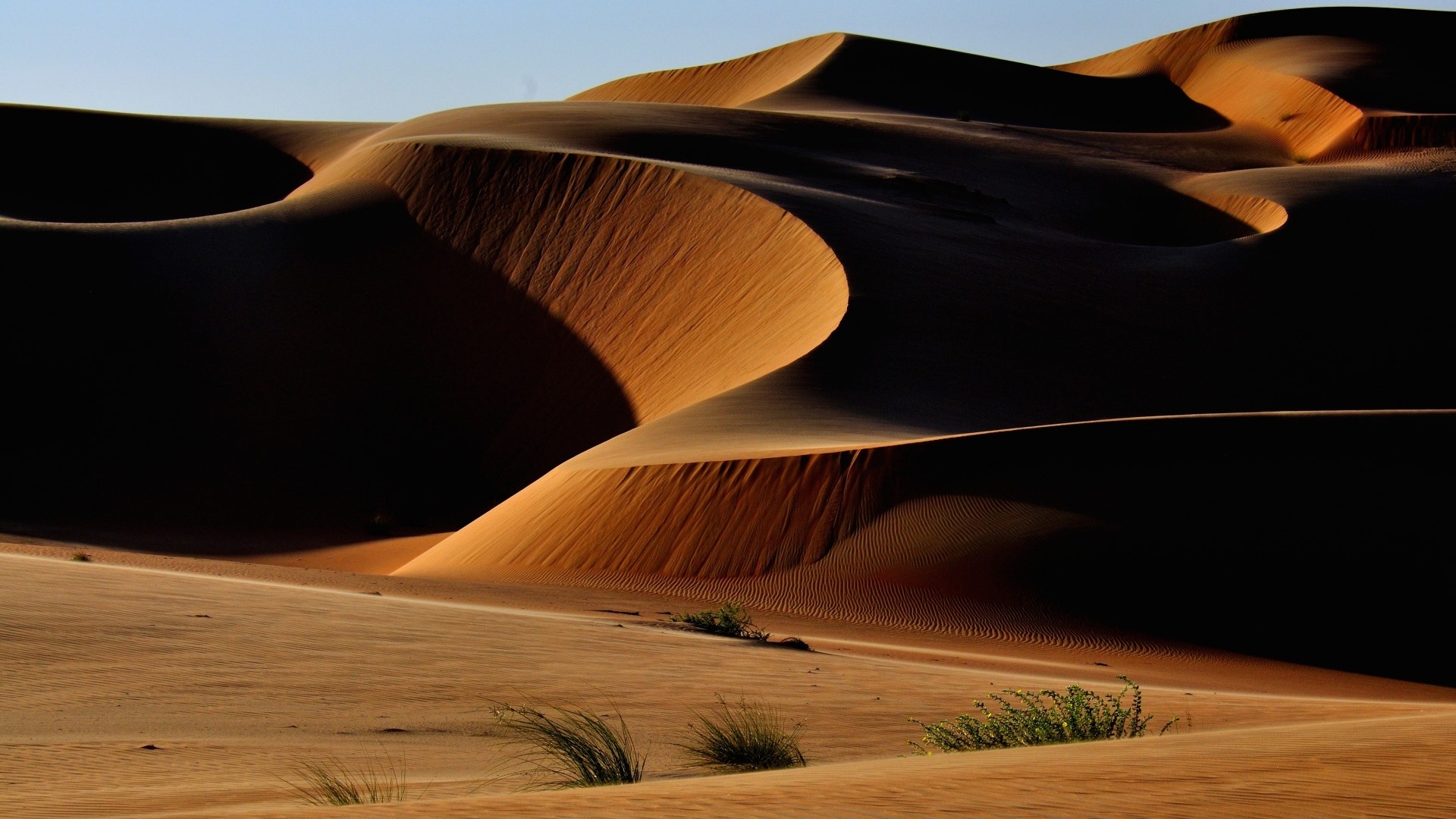 Desert sand dunes with shadows and grass HD Wallpaper