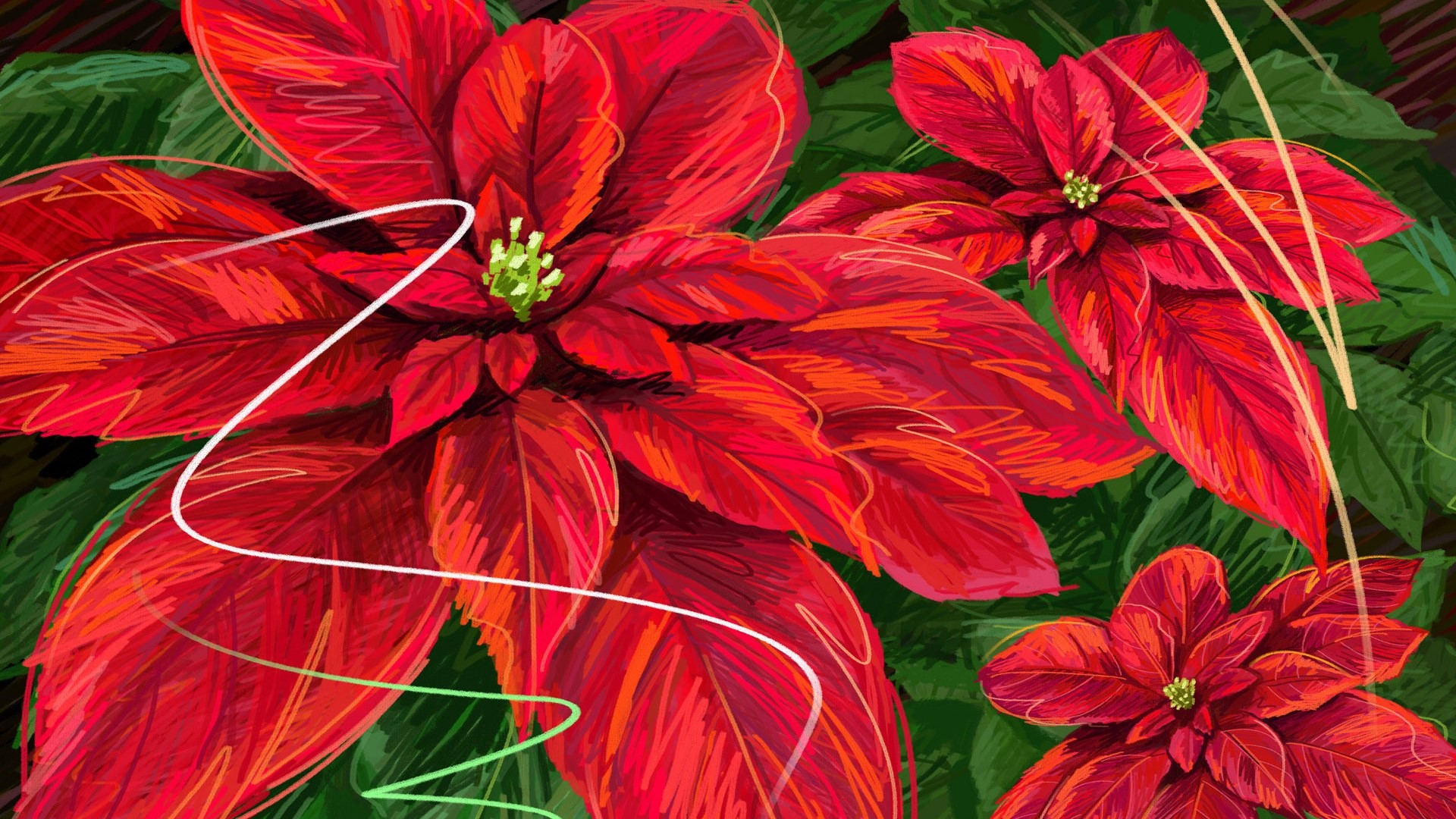 Poinsettias Art HD Wallpaper