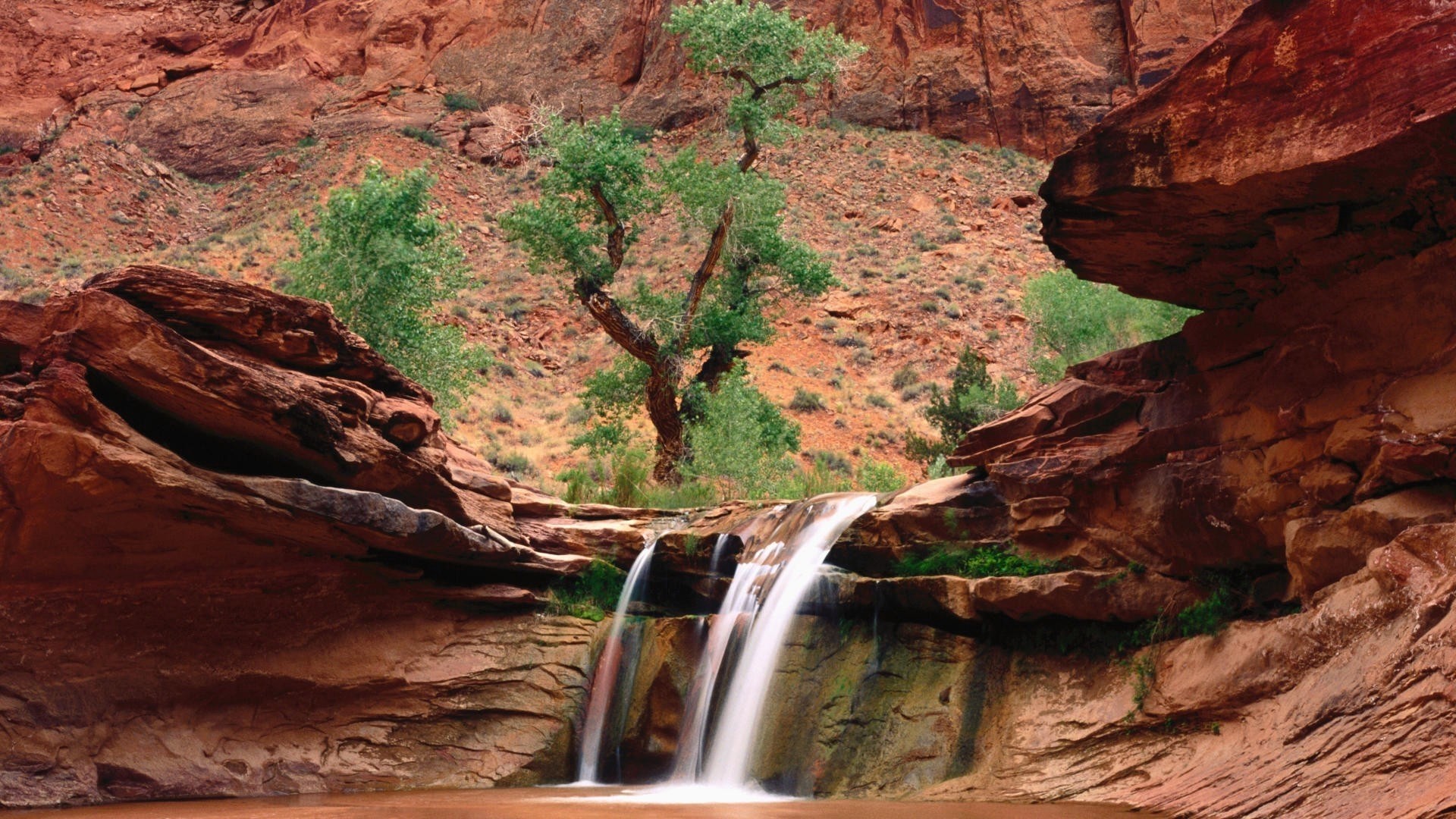 Desert Waterfall with Red Rocks and Tree HD Wallpaper