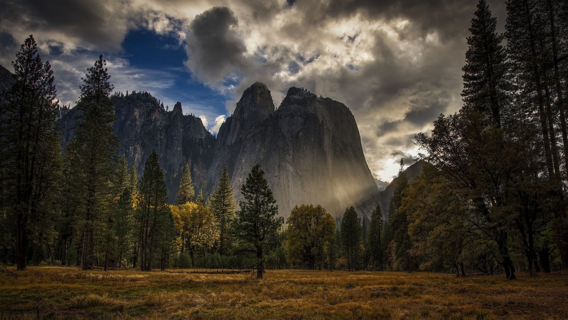 Yosemite National Park Mountains and Forest HD Wallpaper