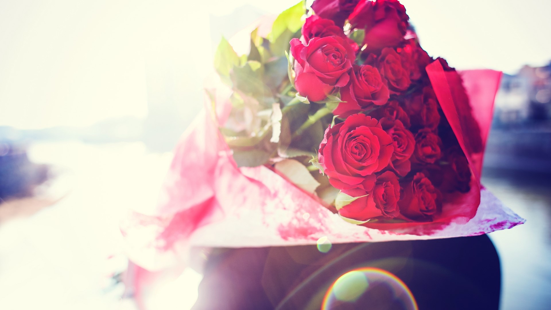 Bouquet of red roses with pink wrapping HD Wallpaper