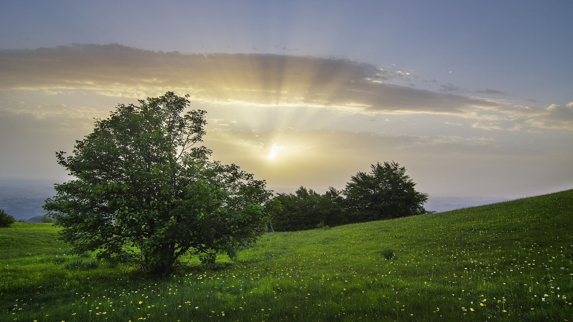 Green Fields Sunset Landscape HD Wallpaper