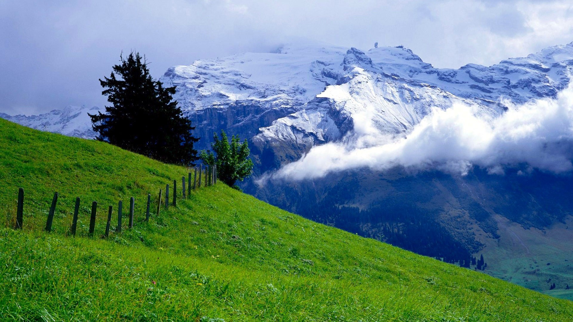 Green grass slope with snow-capped mountains and clouds HD Wallpaper