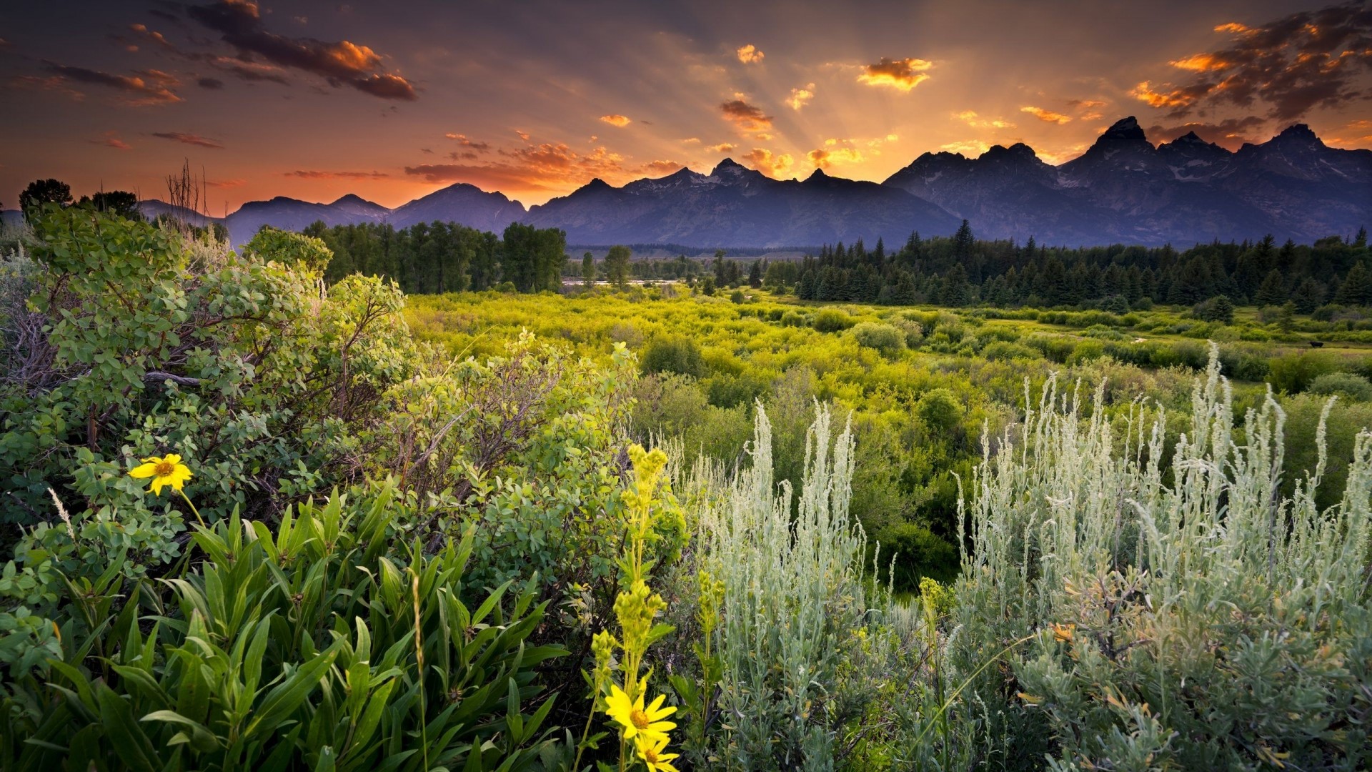 Grand Teton National Park Landscape at Sunset HD Wallpaper