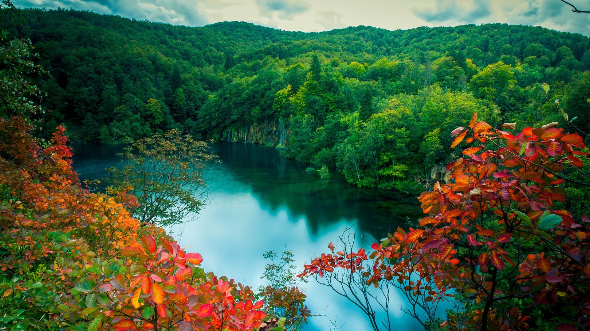 Green forest with red leaves and a lake HD Wallpaper