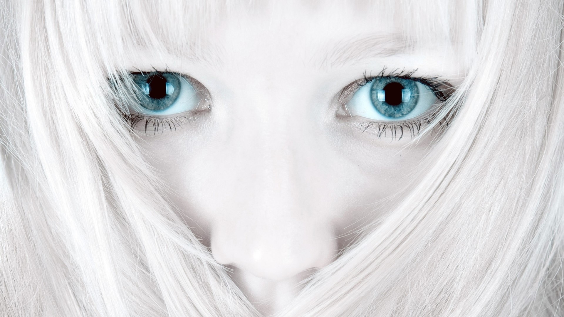 Close-up of a person with white hair and blue eyes HD Wallpaper