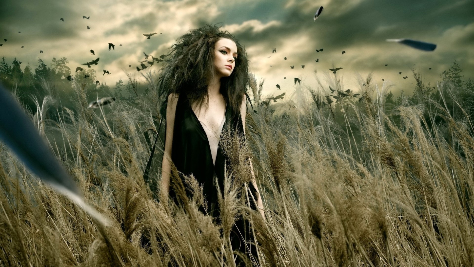 Girl in black dress in a field with birds HD Wallpaper
