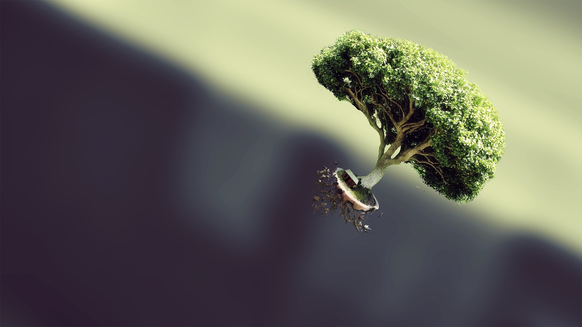 Floating Bonsai Tree with Detaching Roots HD Wallpaper