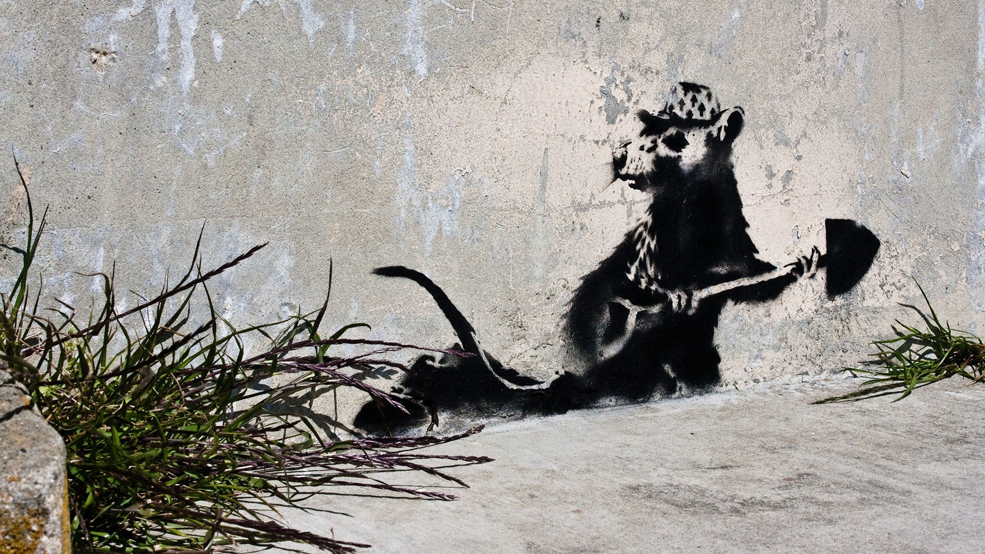 Banksy rat with shovel and hat HD Wallpaper