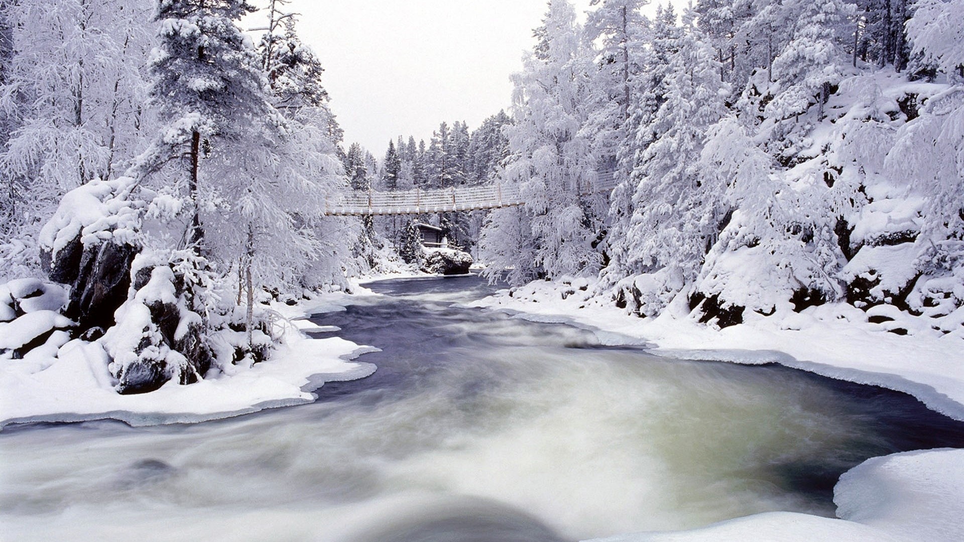 Snowy forest with a river and a bridge HD Wallpaper