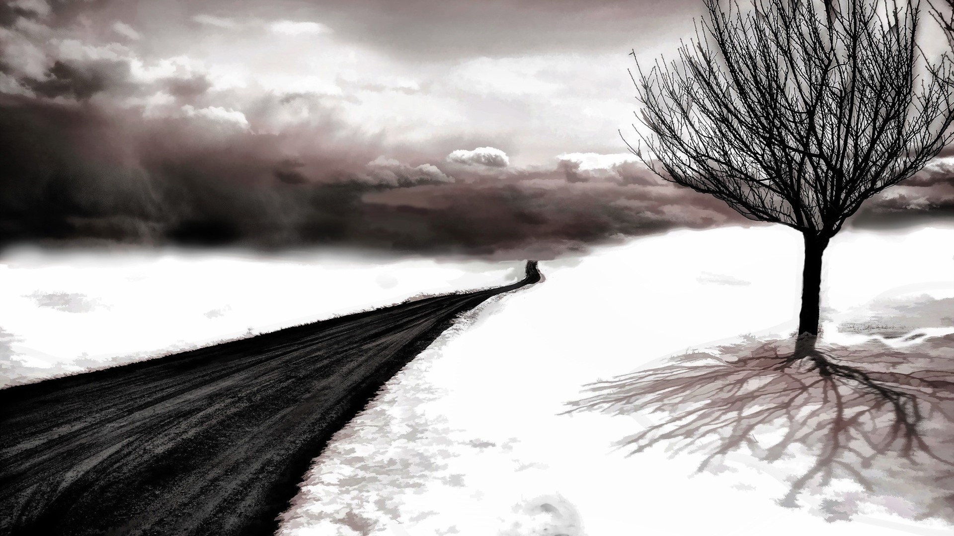 A bare tree casts a shadow on a snowy landscape with a dark road. HD Wallpaper