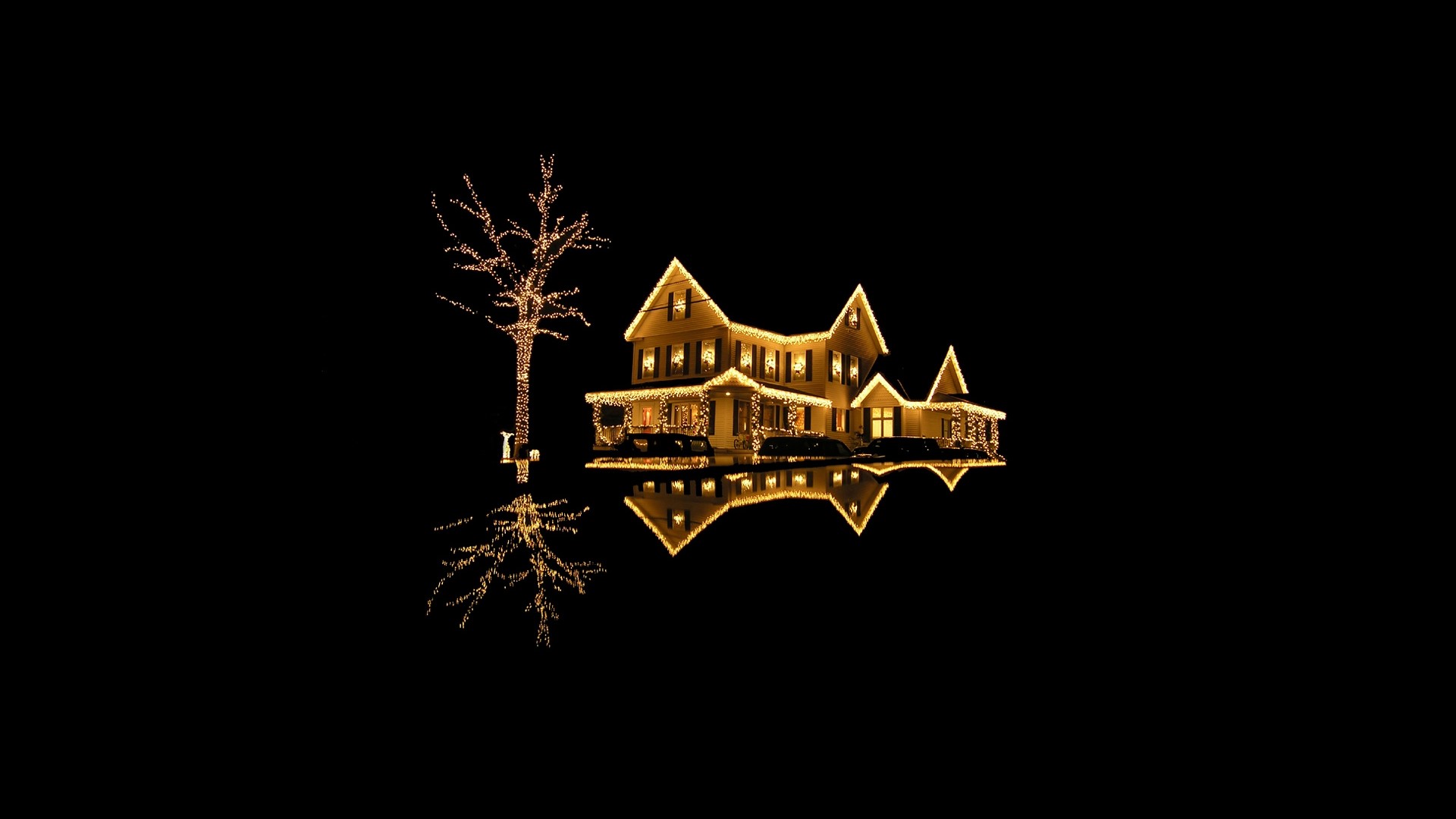 House and tree decorated with Christmas lights HD Wallpaper