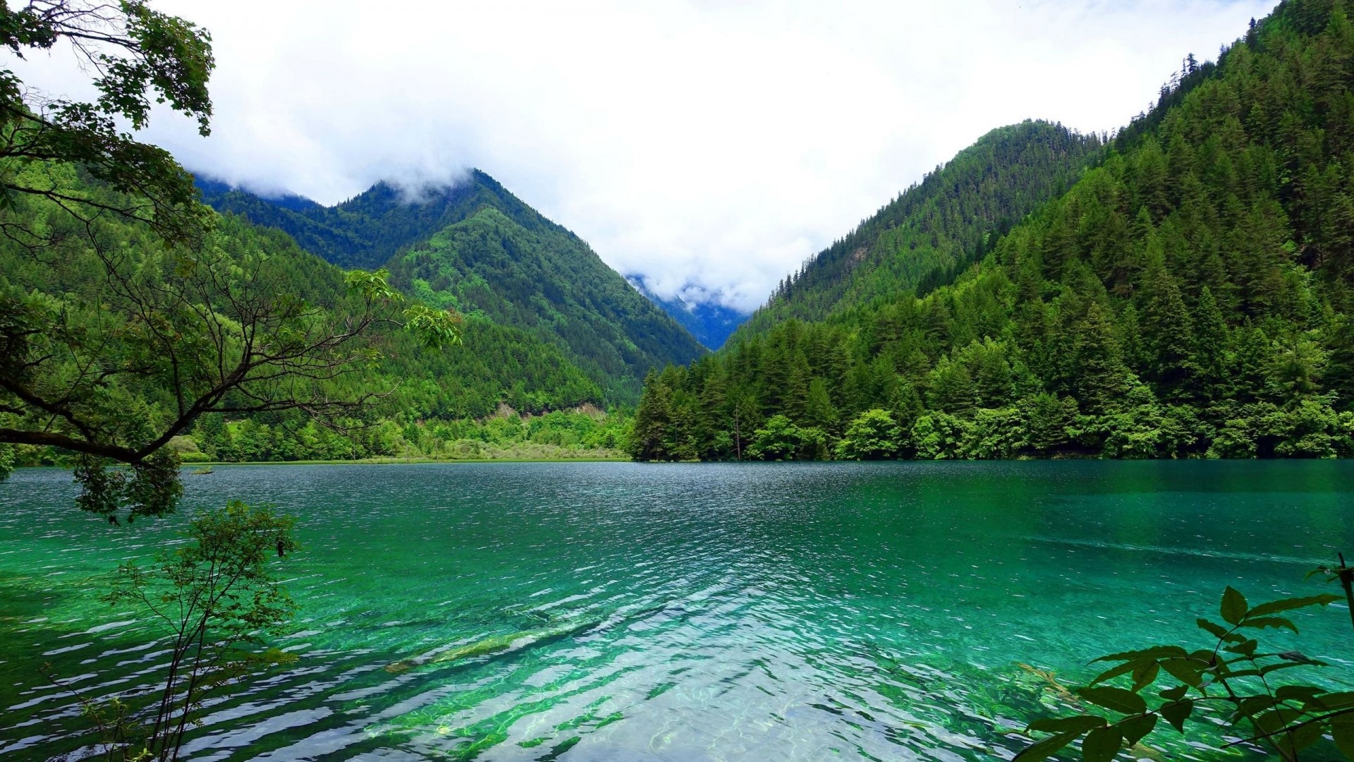 Jiuzhaigou National Park, China HD Wallpaper