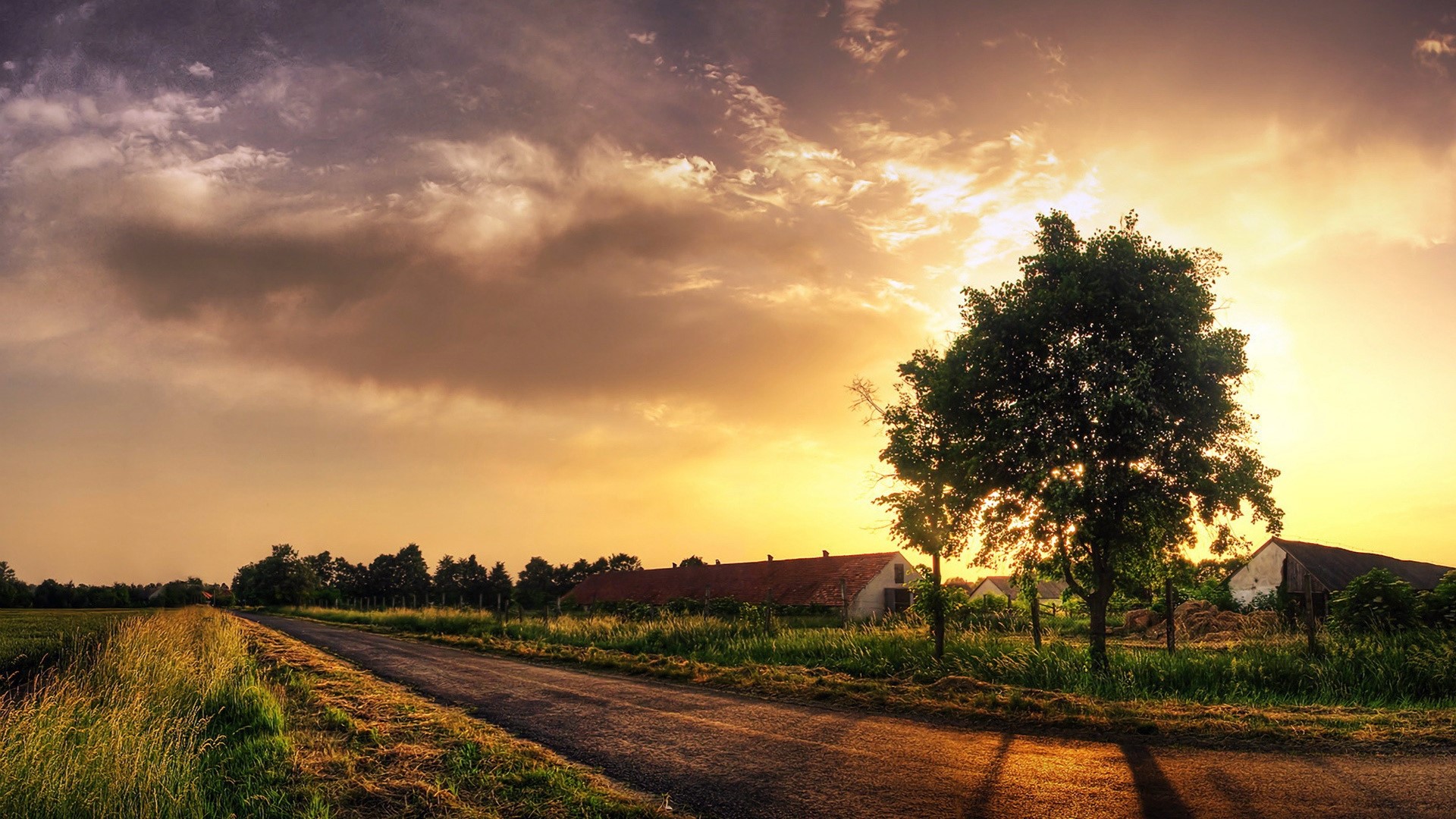 Farmland at Sunset HD Wallpaper