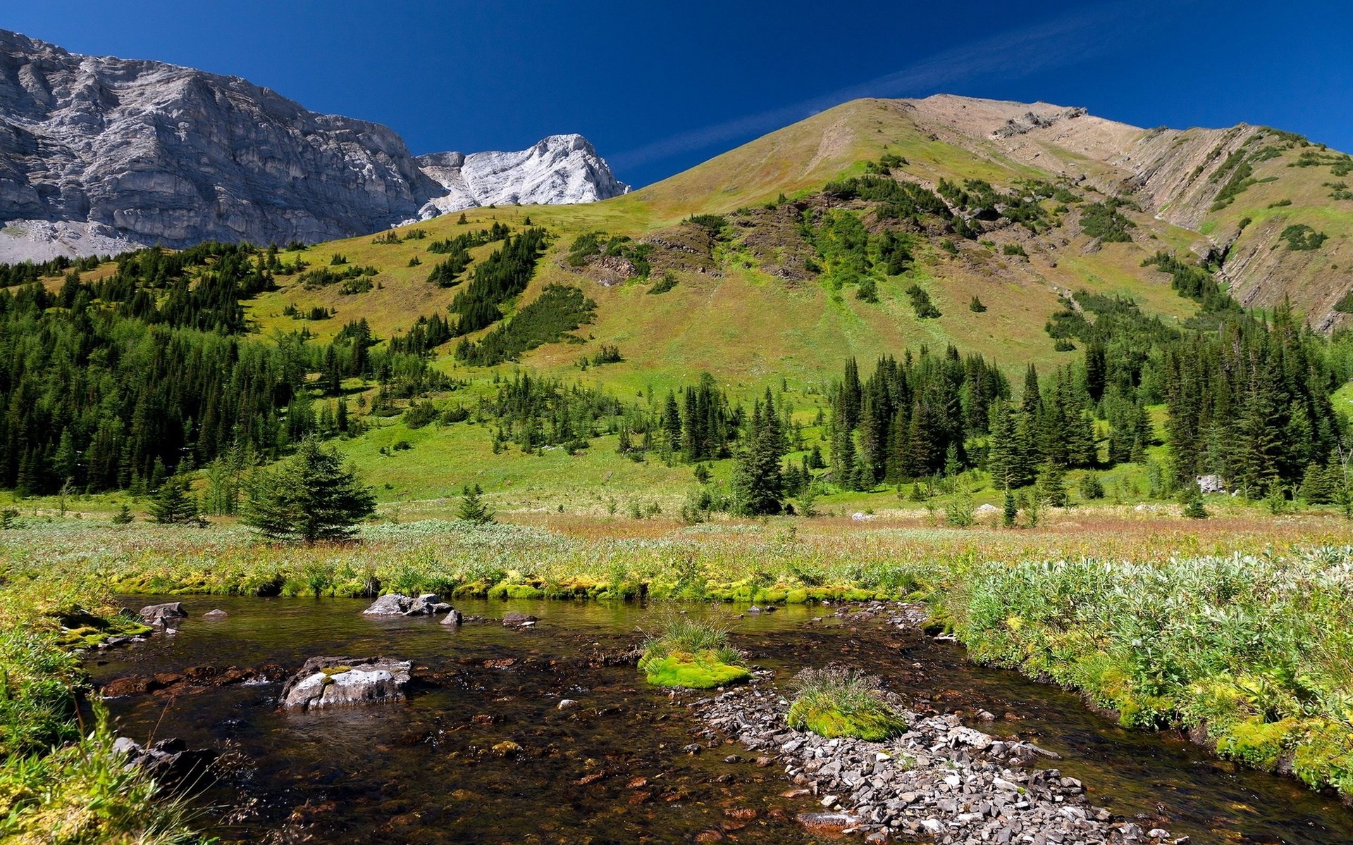 Mountain landscape with stream and trees HD Wallpaper