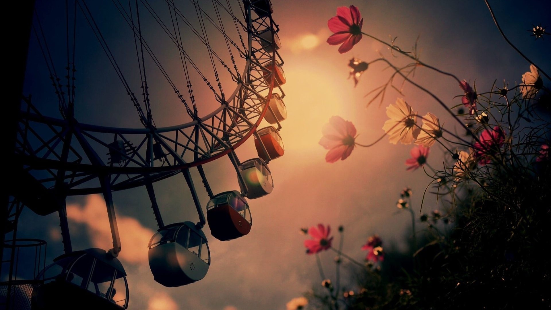 Ferris wheel with flowers at sunset HD Wallpaper
