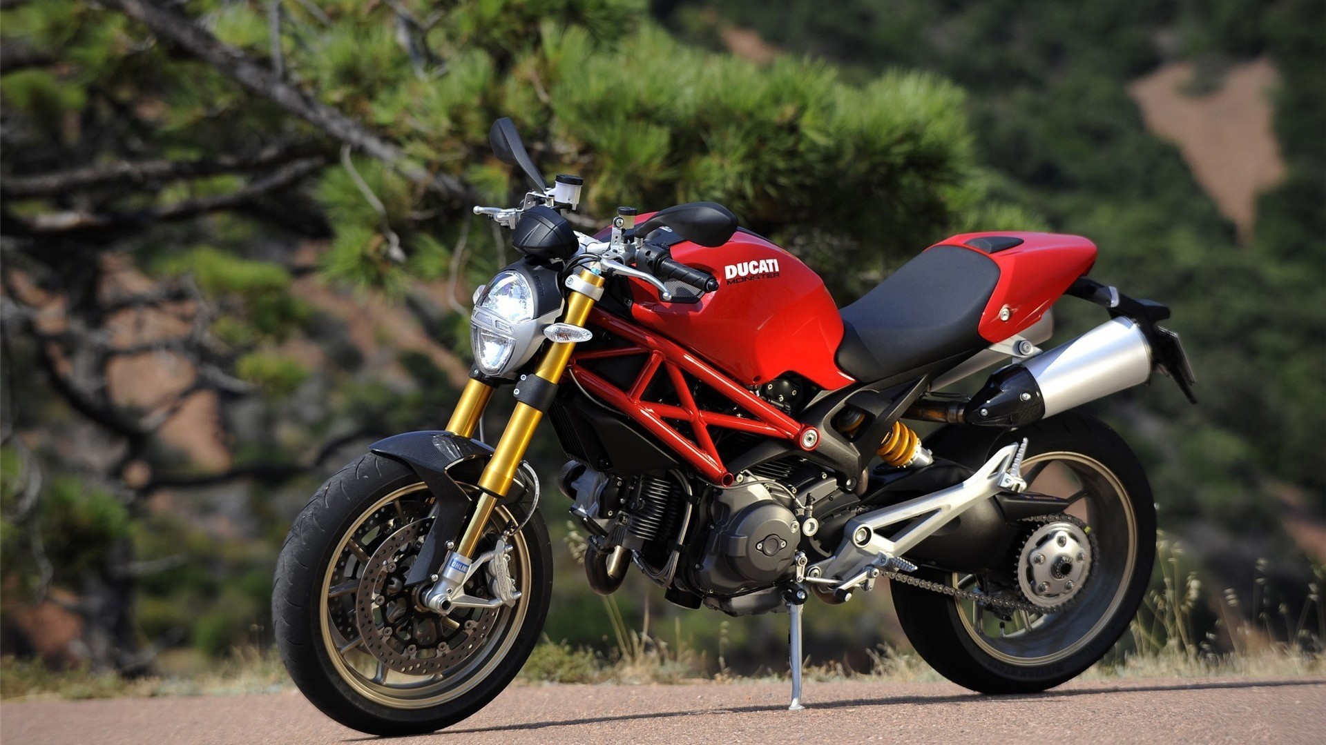Red Ducati Monster Motorcycle HD Wallpaper