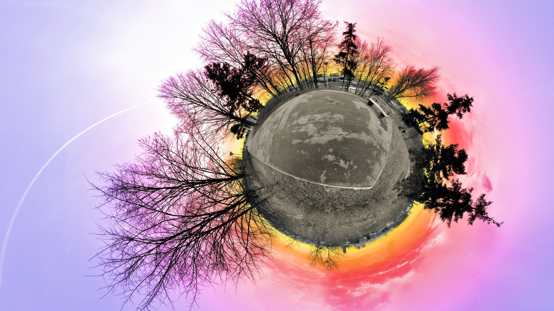 Tiny planet effect of trees and sky HD Wallpaper